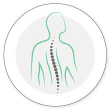 ศูนย์สมองและกระดูกสันหลัง