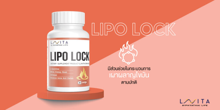 LIPO LOCK มีส่วนช่วยในกระบวนการเผาผลาญไขมันตามปกติ