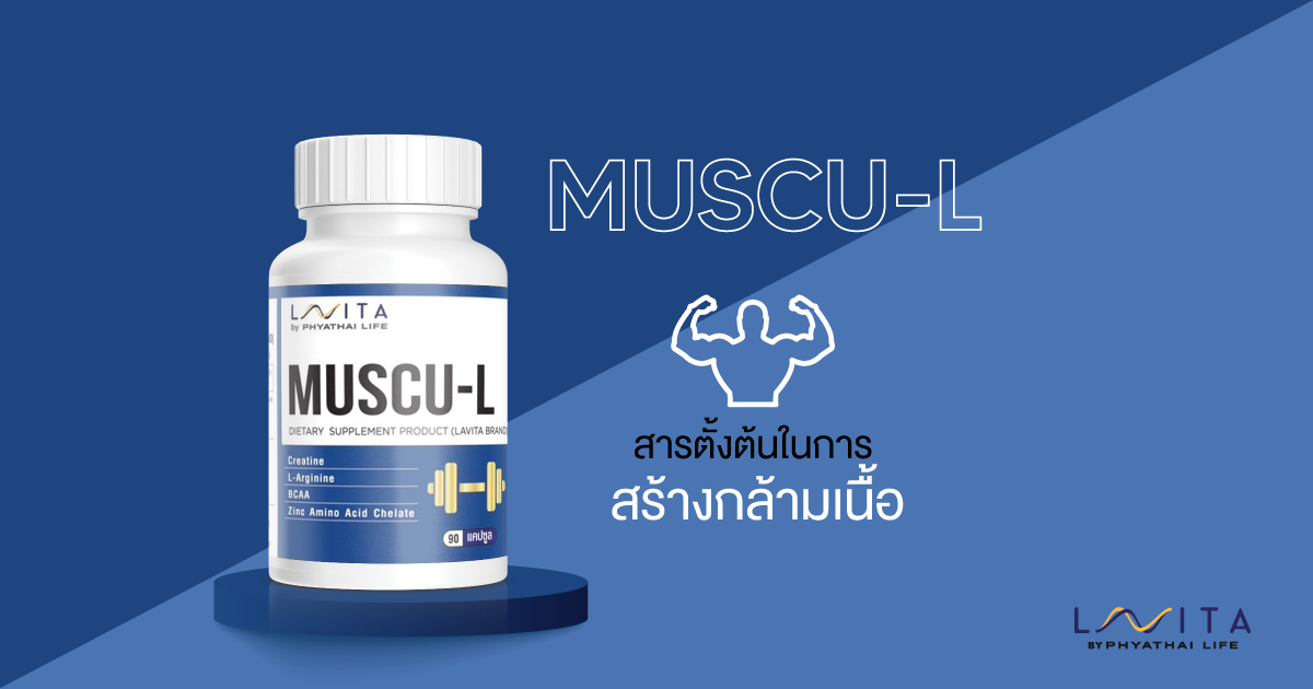 MUSCU-L มีส่วน ช่วยชะลออัตราการลดลงของมวลกล้ามเนื้อให้ช้าลง